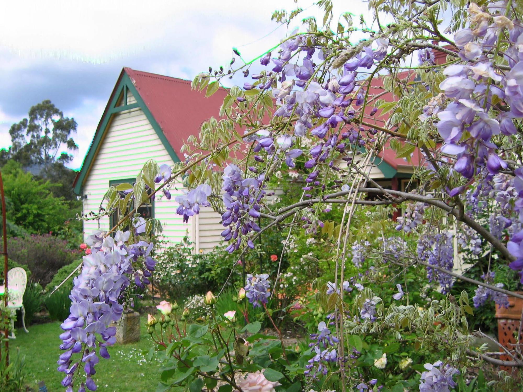 Grove Crabtree House B&B 외부 사진